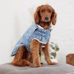 GF Pet Fleece Lined Denim Jacket